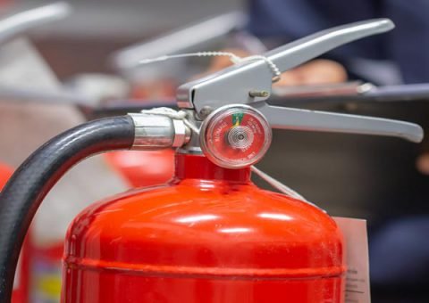 Gal_pic-01 Gal_pic-01